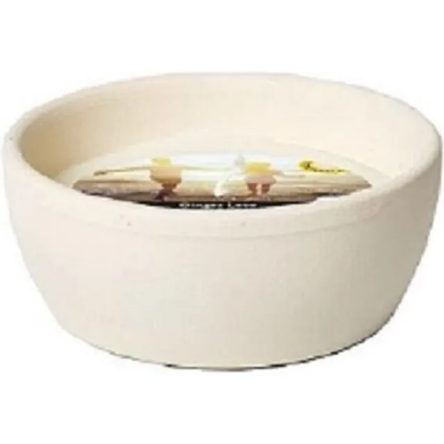 Spaas Mini terracottaschaal citronella kaars wit Ginger Love