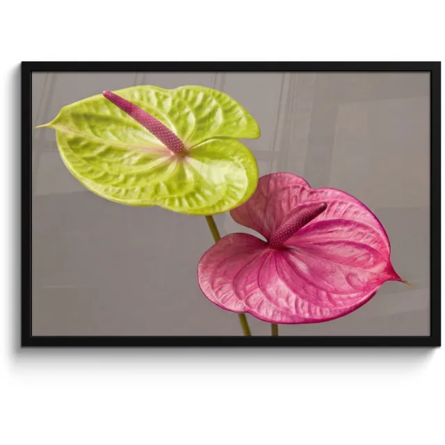FrameYourWall Poster in lijst - Fotolijst 90x60 cm - Posters - Planten - Anthurium - Groen - Roze - Posterlijst zwart - Decoratie - Wanddecoratie woonkamer - Muurdecoratie slaapkamer