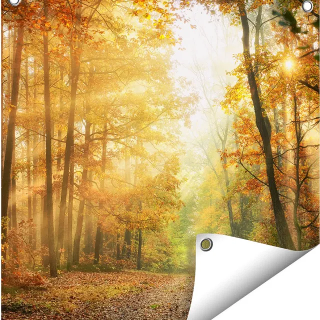 Gards Tuinposter Herfstbos met Zonneschijn - 50x50 cm - Tuindoek - Tuindecoratie - Wanddecoratie buiten - Tuinschilderij Multikleur