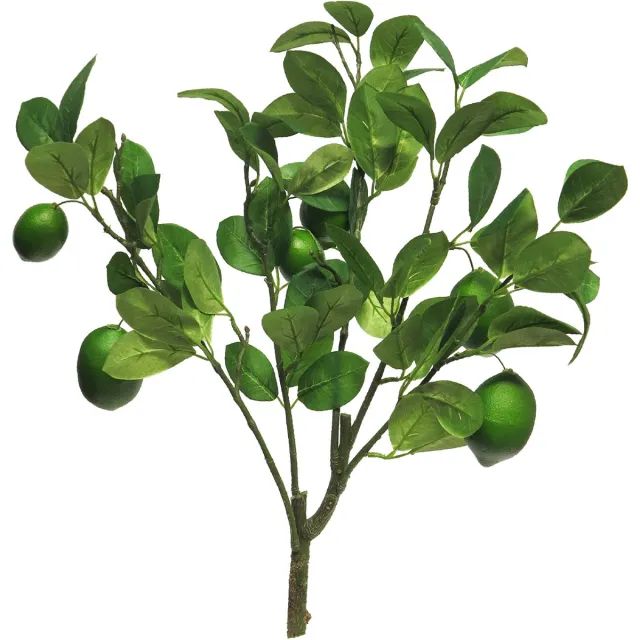 Bellatio Design Kunstbloem citrusfruit tak - limoen - 60 cm - groen - kunst zijdebloemen - limoentak