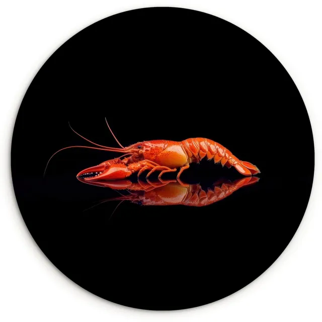WallCircle Wandcirkel 60x60 cm - Muurcirkel Kreeft - Oranje - Zwart - Opvallend - Muurdecoratie woonkamer - Wanddecoratie slaapkamer - Kamer decoratie accessoires - Ronde schilderijen
