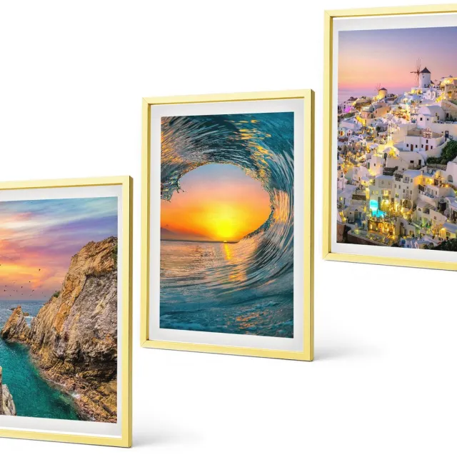 Coloray 3-Delige Schilderij Set - Bloemen Op Een Marmeren Achtergrond In Wit- En Zwarttinten. - 40 x 40 cm En 40 x 60 cm - Moderne Wanddecoratie - Woonkamer - Stijlvolle Muurdecoratie Gouden lijst