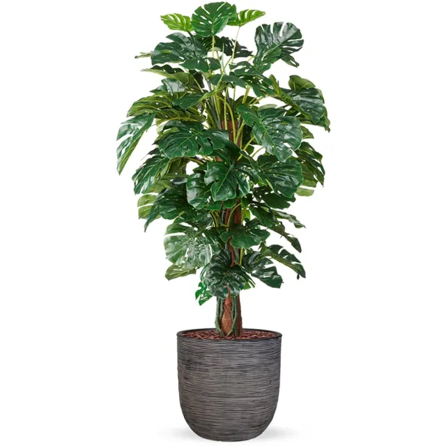 HTT Decorations Kunstplant Monstera in planter ball Rib antraciet H170 cm