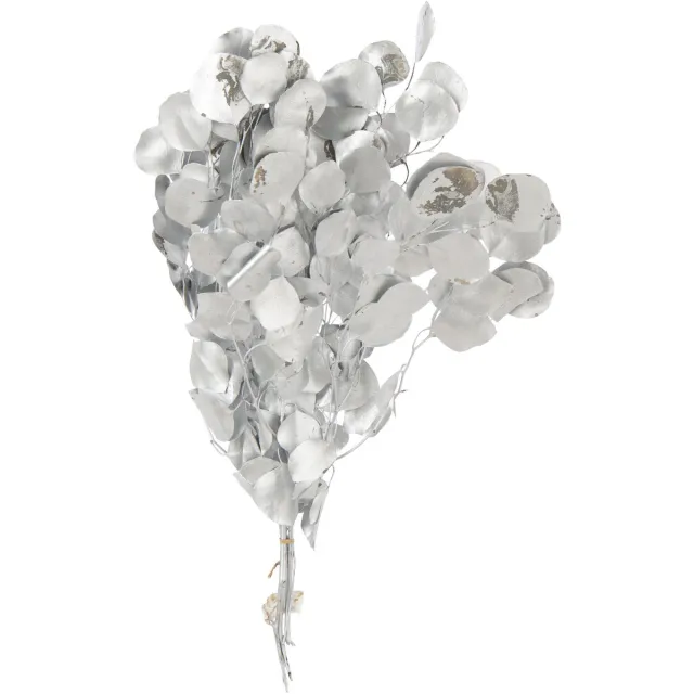 J-Line droogbloemen Eucalyptus - riet - zilver