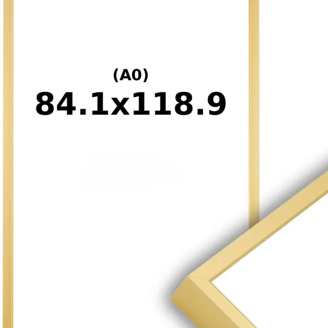 Lichtendonk Wissellijst Mat Champagne Goud A0 84,1 x 118,9 - Helder Acrylite - Professional