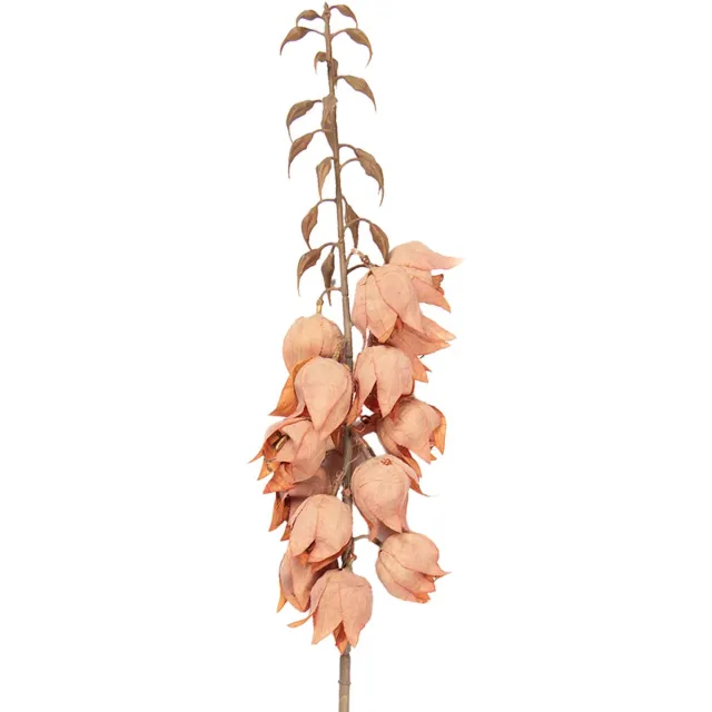 Clayre & Eef Kunstbloem 100 cm Oranje Kunststof