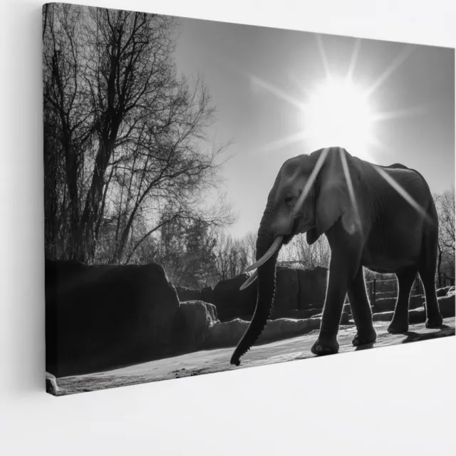 Saammp Canvas Schilderij - Olifant tussen de rotsen - Dieren - 150x100 - Foto op canvas - Wanddecoratie - muurdecoratie Woonkamer - Slaapkamer decoratie - Canvas Print Multicolor