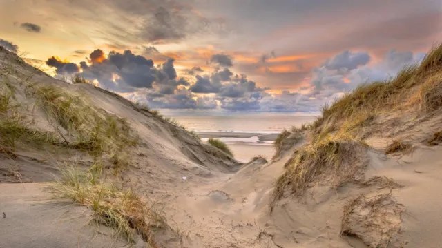 Duinpad naar zee 130x70 cm tuinposter banner VGDesign onbekend
