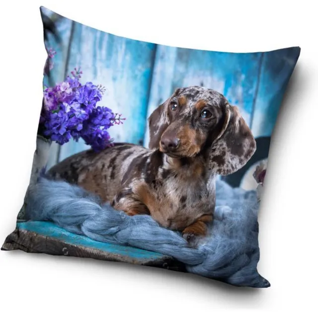 DOG Hond - Sierkussen Kussen 40 x 40 cm inclusief vulling
