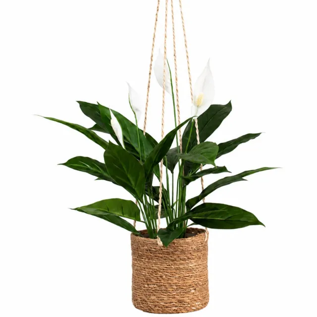 HTT Decorations Kunstplant Spatiphyllum in hangmand naturel L100cm Groen