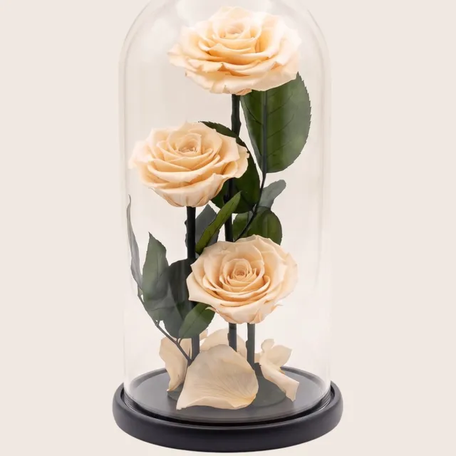 RoseAmor 3 Longlife Rozen onder Glazen Stolp 27 cm – Echte Houdbare Rozen – Goud – Cadeau voor Haar