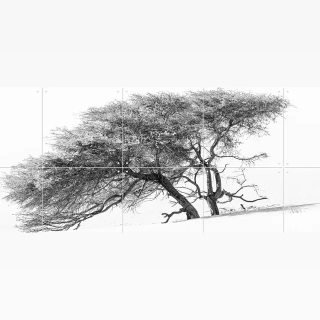 IXXI Tree in Sahara Desert, Photolovers - 100 x 80 cm - Grote wanddecoratie en posters - Fotografie, Minimalisme, Woonkamer, Slaapkamer, Landschappen Wit / Monochroom / Zwart en wit / Lichte tinten