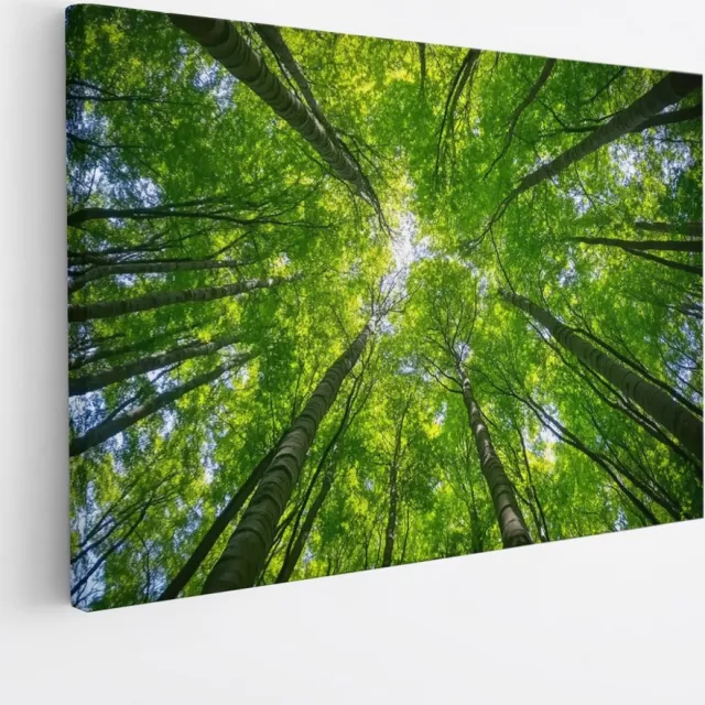 Saammp Canvas Schilderij - Natuur - hert in zonneschijn - landschappen - 90x60 - Foto op canvas - Wanddecoratie - Muurdecoratie Woonkamer - Slaapkamer decoratie - Canvas Print Multicolor