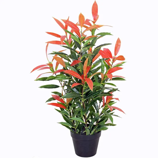 PEAM Kunstplanten - "Verlevendig je ruimte met onze prachtige Kunstmatige Photinia, inclusief pot. Deze 80 cm hoge kunstboom is een perfecte decoratie of geschenkidee voor elke gelegenheid." Multi