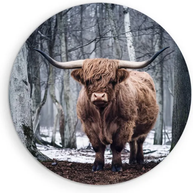 Saammp Forex Muurcirkel - Schotse Hooglander Koe - Kunst - Zwart-Wit - Landschap - Dieren - Natuur - Ø 80 - Wandcirkel - Wanddecoratie Cirkel - muurdecoratie Woonkamer - Slaapkamer decoratie - Rond Schilderij