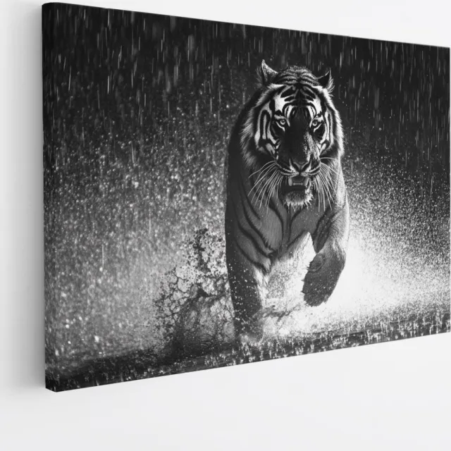 Saammp Canvas Schilderij - Tijger in de regen - Natuur - Dieren - 50x40 - Foto op canvas - Wanddecoratie - muurdecoratie Woonkamer - Slaapkamer decoratie - Canvas Print Multicolor
