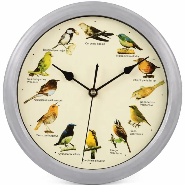 SWGOTA Grijze ronde wandklok met vogelgeluiden, 25 cm, Engelse versie, 12 vogelgeluiden en automatische nachtelijke geluidspauze Grijs