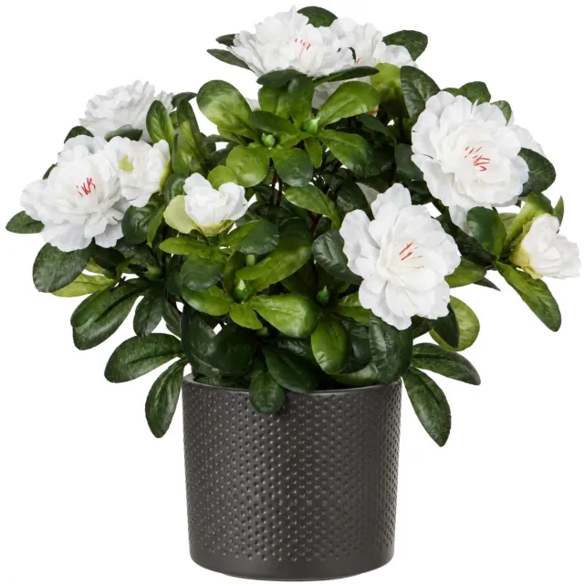Mica Decorations Kunstplant - Azalea wit - H27 cm - in antraciet bloempot - keramiek - complete set van pot en plant - decoratie stuk