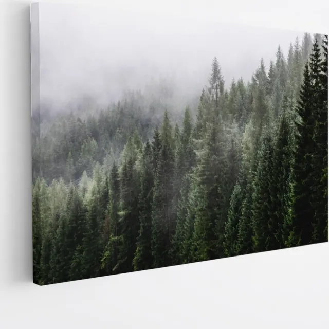 Saammp Canvas Schilderij - Naaldbomen tussen de mist - Landschap - Natuur - 150x100 - Foto op canvas - Wanddecoratie - Muurdecoratie Woonkamer - Slaapkamer decoratie - Canvas Print Multicolor
