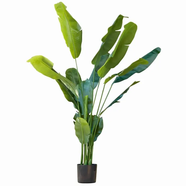 Loberon Sierplant Lennidas donkergroen