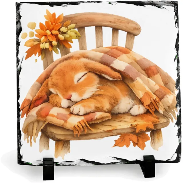 Mr Cadeautjes Leisteen vierkant 19,5 x 19,5 - design Een uitgestrekte konijnendut onder een plaid op een houten s | cadeau Wit