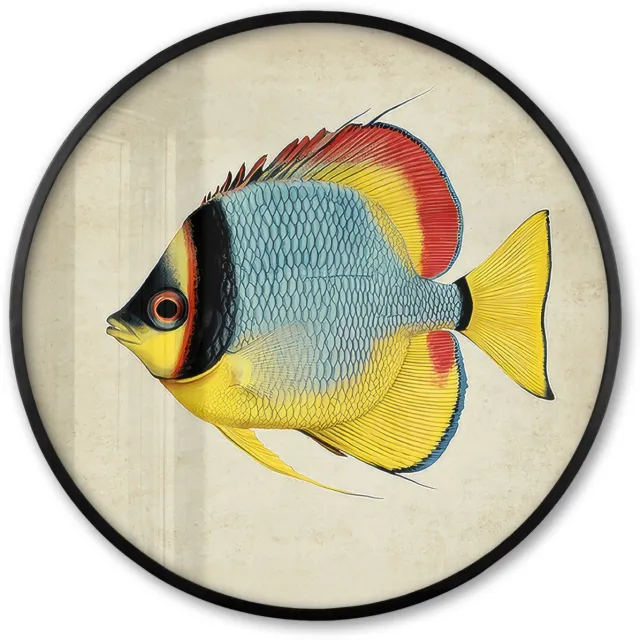 FrameYourWall Poster in lijst Rond - Fotolijst 80x80 cm - Posters - Kleurrijk - Vis - Schubben - Illustratie - Ronde posterlijst zwart - Decoratie - Wanddecoratie woonkamer - Muurdecoratie slaapkamer Vis - Kleurrijk