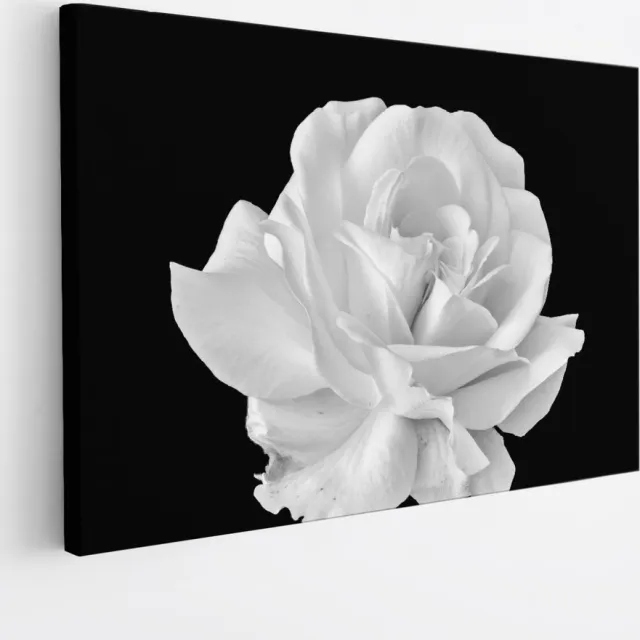 Saammp Canvas Schilderij - Witte Bloem - Natuur - 120x80 - Foto op canvas - Wanddecoratie - Muurdecoratie Woonkamer - Kantoor Decoratie Multicolor