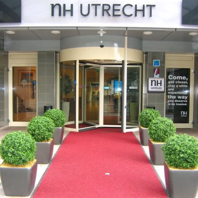 maxifleur Kunstplanten Buxus Bol deluxe kunstplant 60cm - N Groen