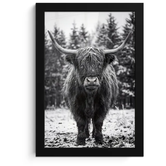 FrameYourWall Poster in lijst - Fotolijst 20x30 cm - Posters - Schotse hooglander - Zwart - Wit - Sneeuwvlokken - Posterlijst zwart - Decoratie - Wanddecoratie woonkamer - Muurdecoratie slaapkamer