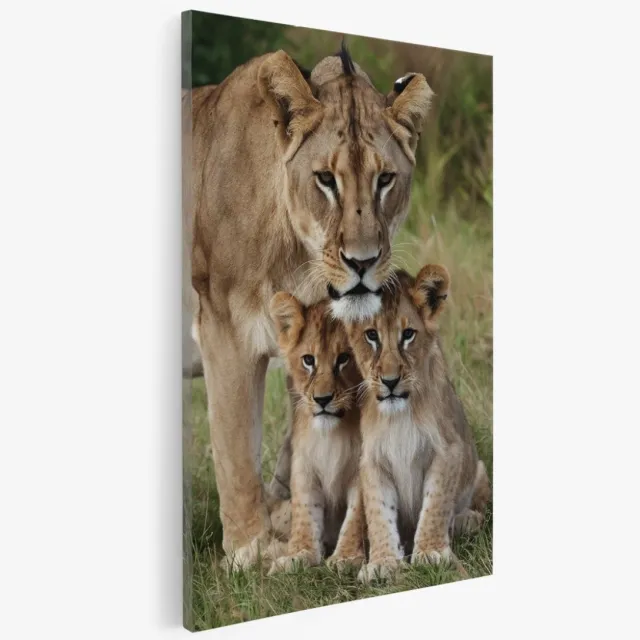 Saammp Canvas Schilderij - Leeuwin met 2 welpen - Natuur - Dieren - 40x50 - Foto op canvas - Wanddecoratie - Muurdecoratie Woonkamer - Slaapkamer decoratie - Canvas Print Multicolor