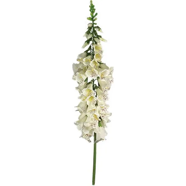 Buitengewoon Boet Vingerhoedskruid 127 cm Wit kunstplant Buitengewoon de Boet