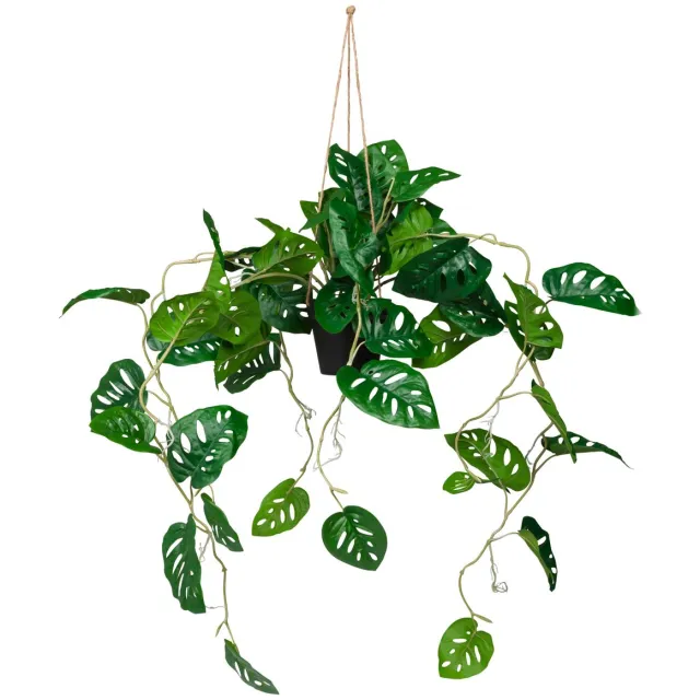 Kunstplant MONSTERA CLIMB Groen hjh OFFICE