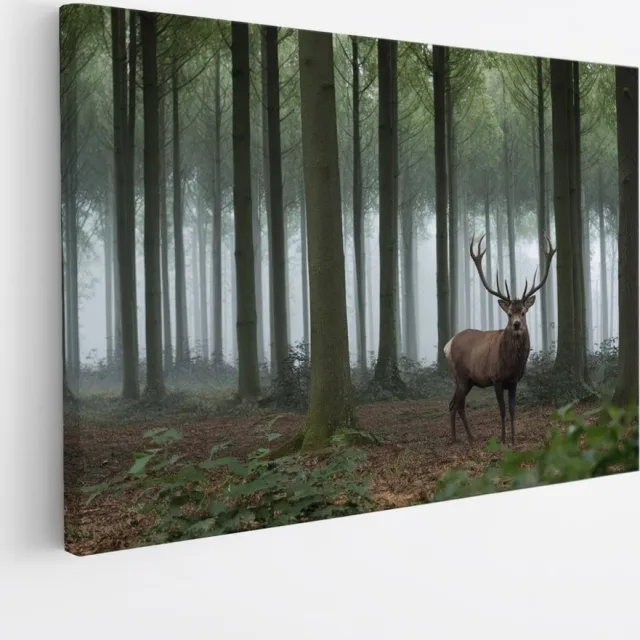 Saammp Canvas Schilderij - Hert in de Natuur - Dieren - 30x20 - Foto op canvas - Wanddecoratie - Muurdecoratie Woonkamer - Slaapkamer decoratie - Canvas Print Multicolor