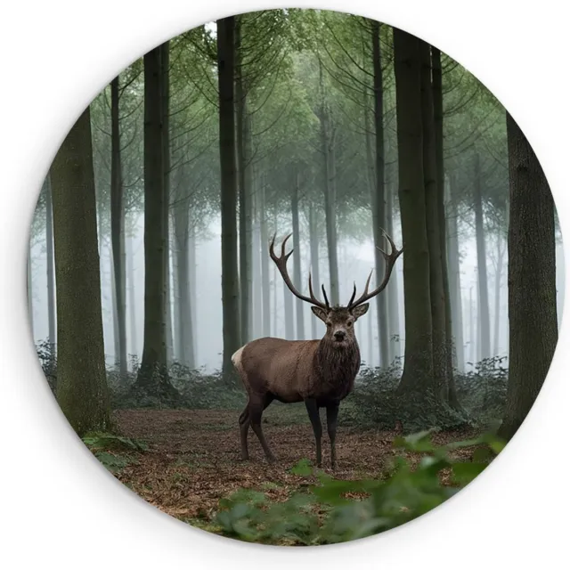 Saammp Muurcirkel Hout - Hert in de Natuur - Dieren - Ø 50 - Wandcirkel - Wanddecoratie Cirkel - Muurdecoratie Woonkamer - Slaapkamer decoratie - Rond Schilderij