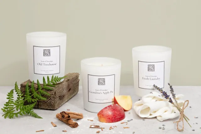 Sense of Nostalgia Collectie Geurkaarsen - 3 verschillende kaarsen - Grandma's Apple Pie - Fresh Laundry - Old Treehouse - 100% Plantaardige Koolzaadwas - Vegan - Cadeau wit