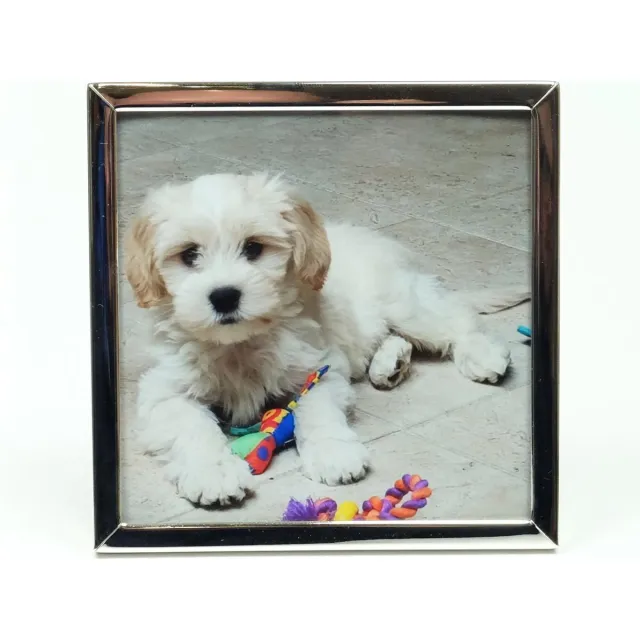 Alle lijsten AL - Fotolijst - Zilver - Strak - 10 x 10 cm