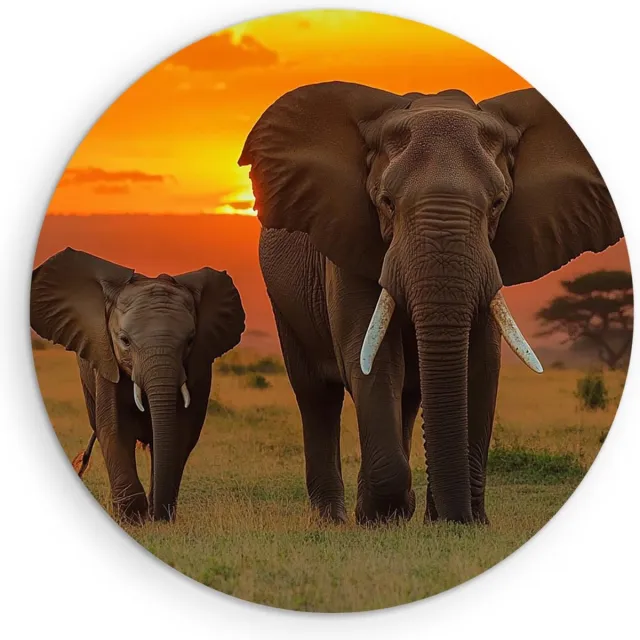 Saammp Muurcirkel Hout - Olifant met Jong in zonsondergang - Afrika - Dieren - Ø 90 - Wandcirkel - Wanddecoratie Cirkel - muurdecoratie Woonkamer - Slaapkamer decoratie - Rond Schilderij