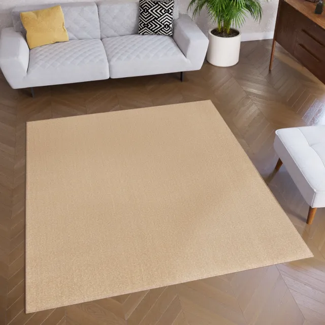 Tapiso Mono Square Vloerkleed Beige Laagpolig Vierkant Tapijt Maat- 200x200, foto 2