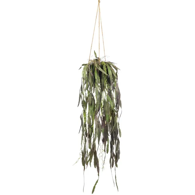 Kunstpalm Kunst Hangplant Ramulosa 75 cm | Groen Paars | Kunst Hangplant - Nep Hangplant - Kunst Vetplant Donkergroen
