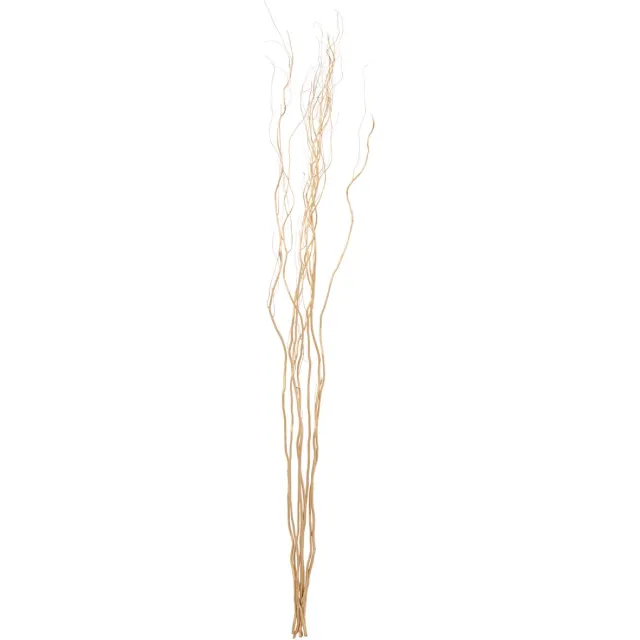 J-Line decoratie tak Droogbloemen - riet - goud - large - 6 stuks