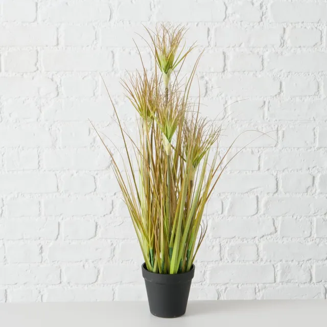 Boltze Plant in pot - Glanshaver - 60cm - Groen - Kunststof - Boltze