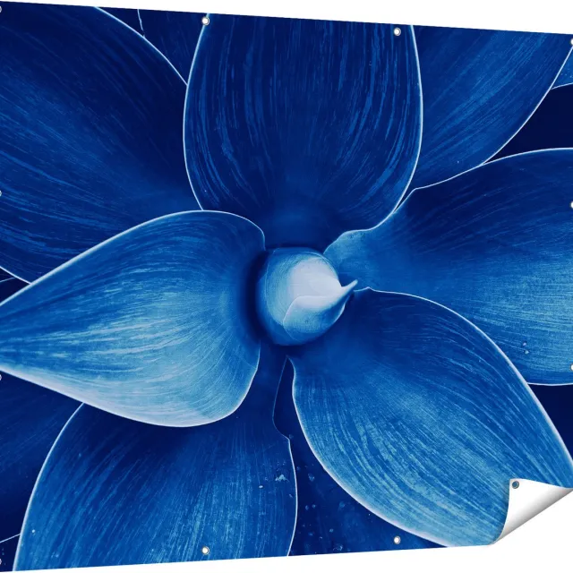 Gards Tuinposter Blauwe Agave Plant - Bloem - 150x120 cm - Tuindoek - Tuindecoratie - Wanddecoratie buiten - Tuinschilderij Multikleur