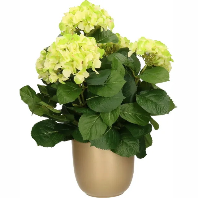 Mica Decorations Hortensia kunstplant/kunstbloemen 45 cm - groen - in pot goud - Kunst kamerplant Goudkleurig