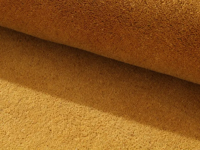 Vente-unique Rond vloerkleed in 100% wol, handgeweven - Ø 200 cm - Oker - 1800 g/m² - SELINA Camel