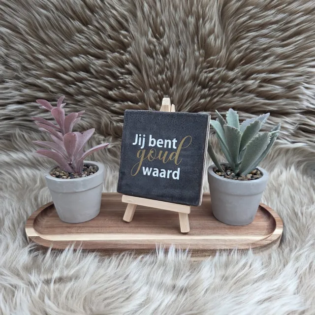 CreaCraft Robuust Wenstegeltje Jij Bent Goud Waard – Hip trendy tegeltje – Cadeau voor Vriendin, Juf, Zorgheld of Collega – Zomaar – Trendy nu – Deco – Stijlvolle Wanddecoratie – Decoratief Tegeltje met Standaard – Cadeau Idee Robuust zwart