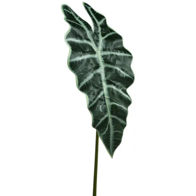 Viana Kunstpijlenblad kunstplant alocasia deco groen 74cm groente