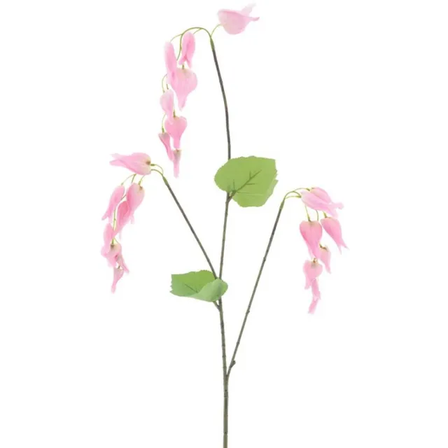 Erutan avon Dicentra spray pink 96 cm onbekend