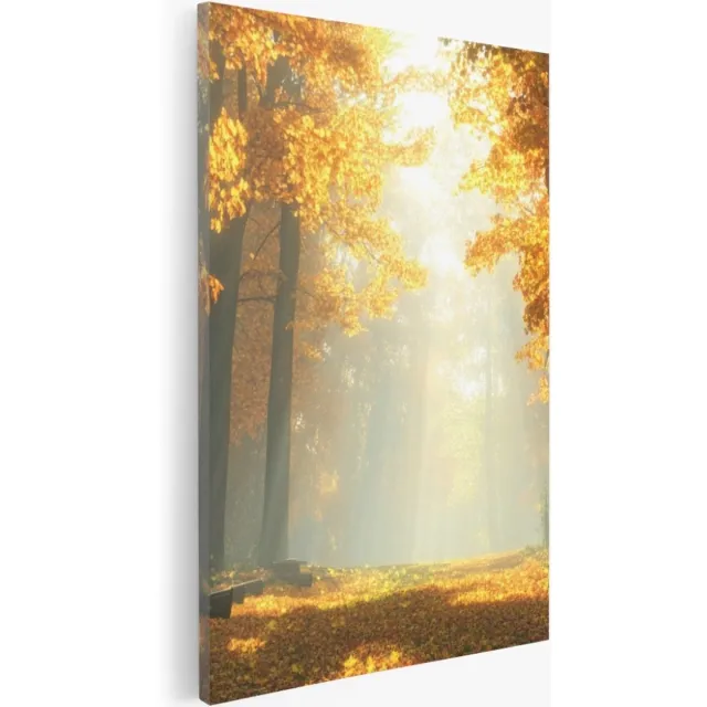 Saammp Canvas Schilderij - pad tussen de hoge bomen - Natuur - Landschap - 80x120 - Foto op canvas - Wanddecoratie - Muurdecoratie Woonkamer - Slaapkamer decoratie - Canvas Print Multicolor