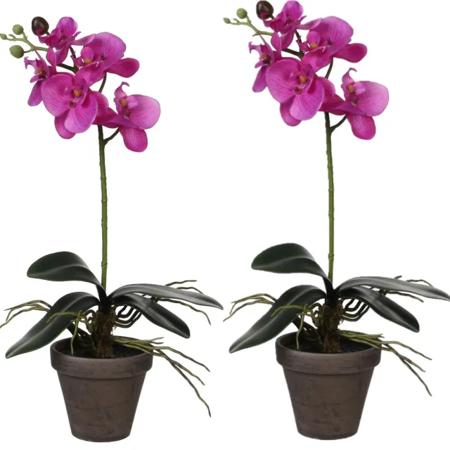 Mica Decorations Kunstplant - 2x stuks - Phalaenopsis orchidee - paars - 48 cm - Kunstplanten/nepplanten met bloemen