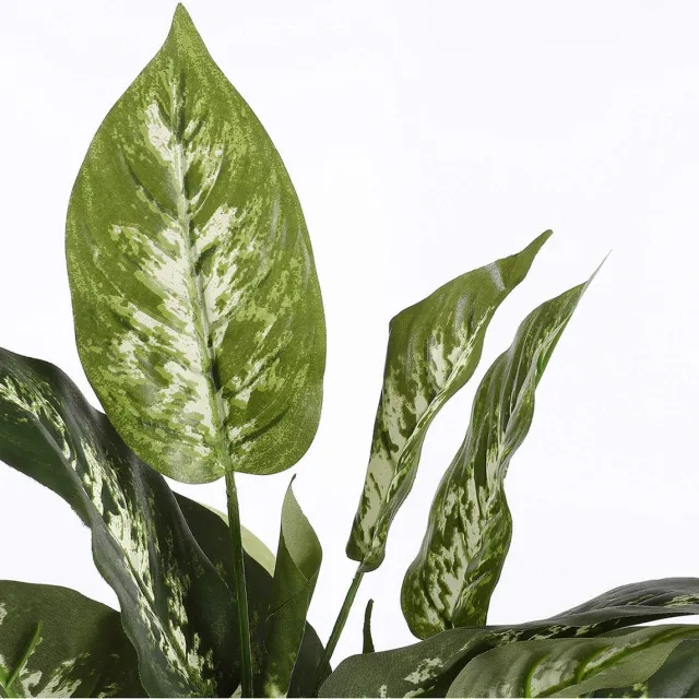 Mica Decorations Dieffenbachia Kunstplant in Bloempot Stan - H70 x Ø55 cm - Groen